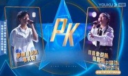 中国好声音事件爆料最新,独家爆料揭露惊人内幕